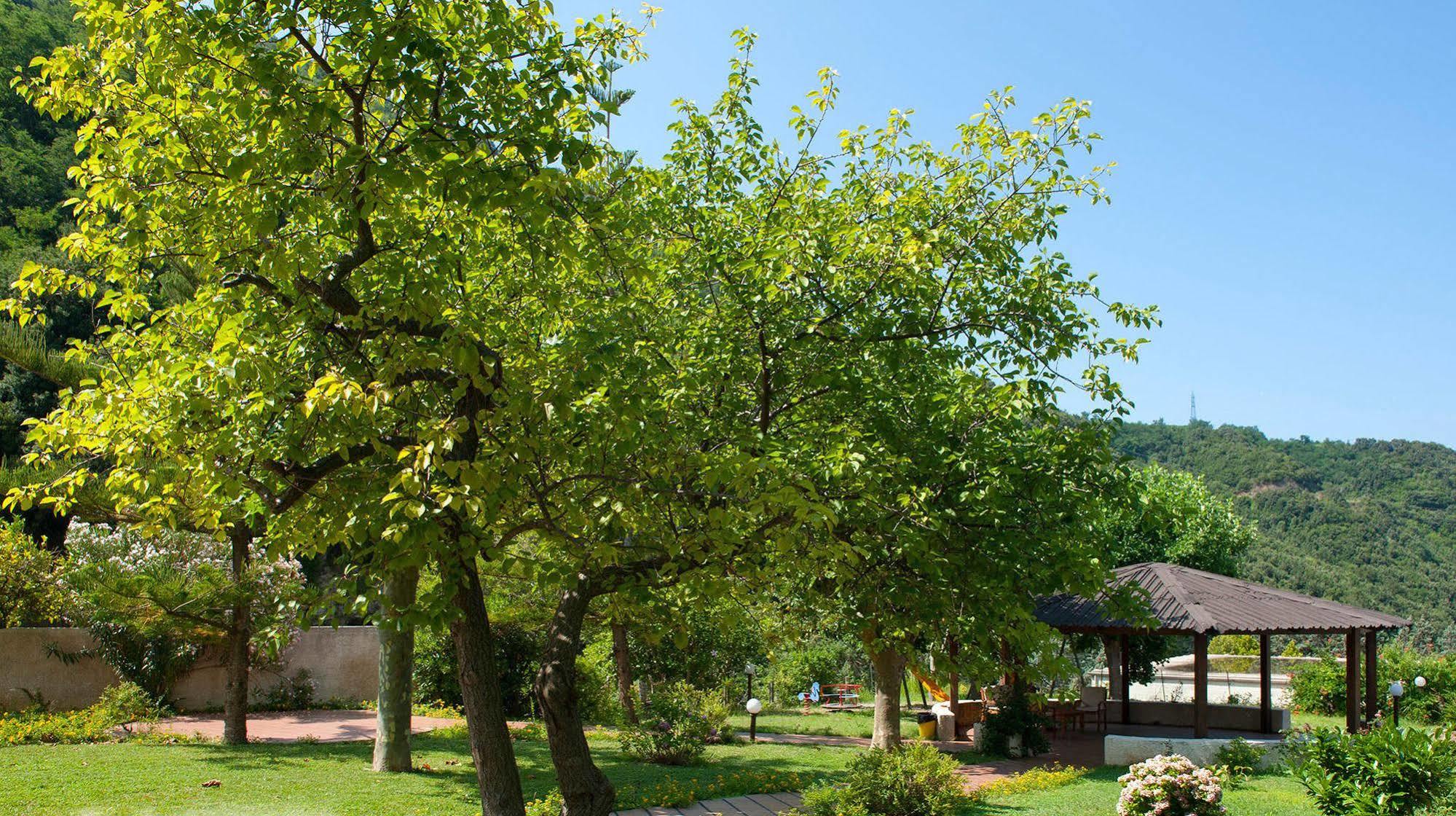 Parco Delle Rose Hotel Acquappesa